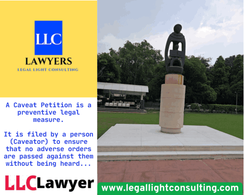 a caveat petition legal light consulting llc lawyer